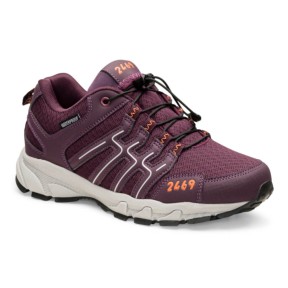 2469 Hiker Low Women's Shoes, Purple