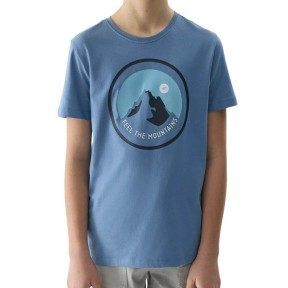 4F TTSHM1133 Boy's T-Shirt, Blue