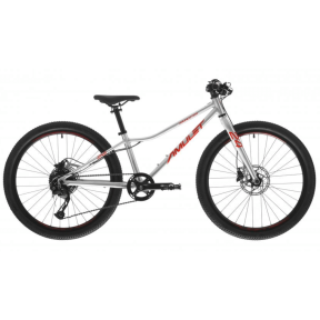 Amulet Youngster SH 24'' Bike, alu brushed transparent/red | 9,3 kg| 115-135 cm