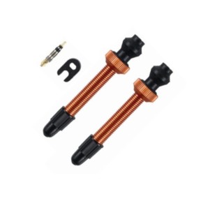 Barbieri Tubeless Valve Set SV 45mm, Orange