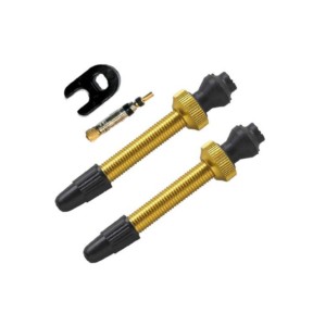 Barbieri Tubeless Valve Set SV 45mm Presta Removable, Gold