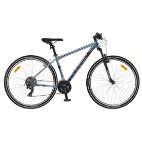 Classic Street 21 28'' Men's Bike, Metallic