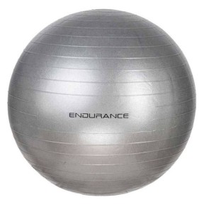 Endurance Training Ball 55 CM, Silver