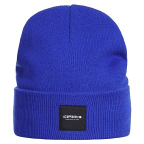 Icepeak Harcourt Unisex Beanie, Governor Bay