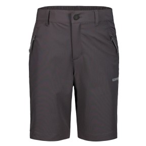 Icepeak Konz Jr Boys Shorts, Granite