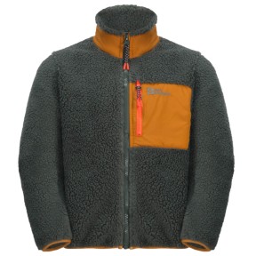 Jack Wolfskin Ice Curl Kids Fleece Jacket, Slate Green