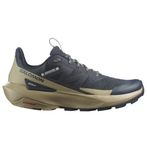 Salomon Elixir Activ Men's, Carbon/Slate Green