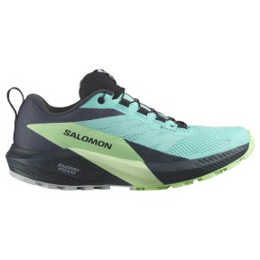 Salomon Sense Ride 5 GTX Women's, Blue Radiance/Green Ash/India Ink