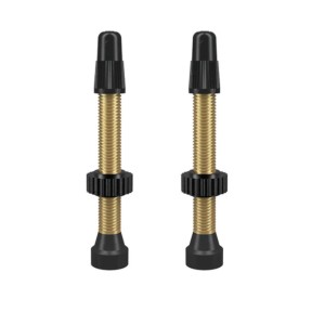 WTB Brass TCS Tubeless Presta Valves, 46mm, 2pcs, Black