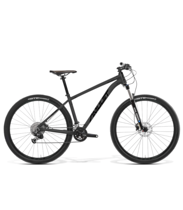 Amulet Rival 2.0 SH 29'' Bike, anthracite/black