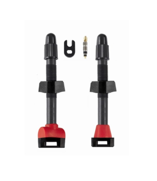 Barbieri Tubeless Presta Valve Set CarbonAria 55mm Mousse Ready