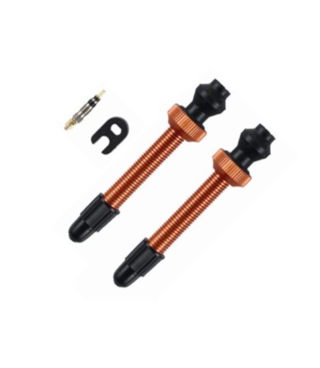 Barbieri Tubeless Valve Set SV 45mm, Orange
