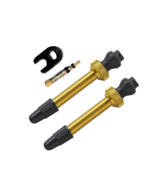 Barbieri Tubeless Valve Set SV 45mm Presta Removable, Gold