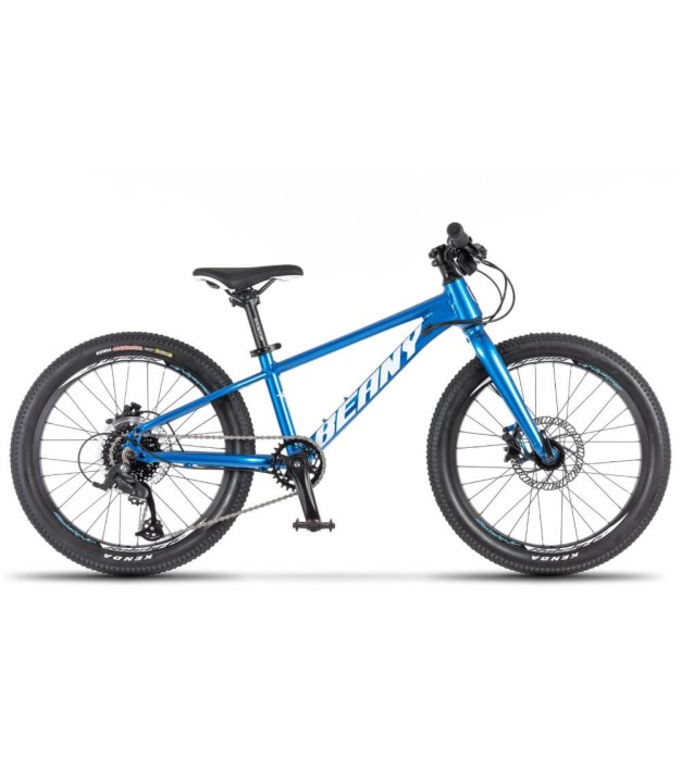 Beany Blaster XC 20 Kids Bike, Blue