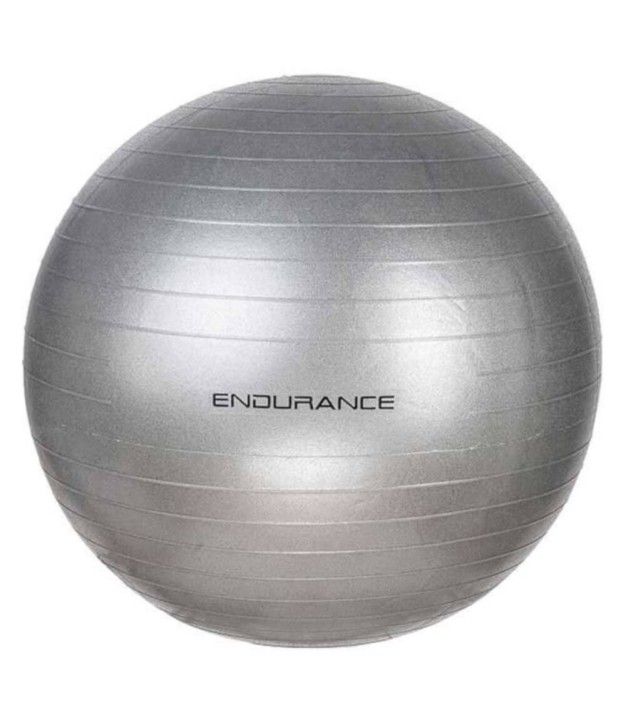 Endurance Training Ball 55 CM, Silver