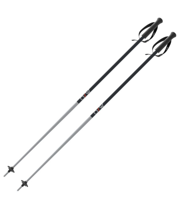 One Way GT 18 Alpine Poles, Vapor