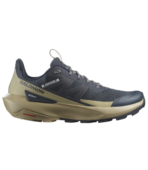 Salomon Elixir Activ Men's, Carbon/Slate Green