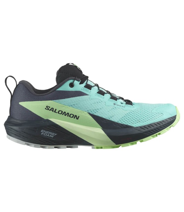 Salomon Sense Ride 5 GTX Women's, Blue Radiance/Green Ash/India Ink