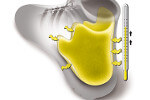 Thermo Fit